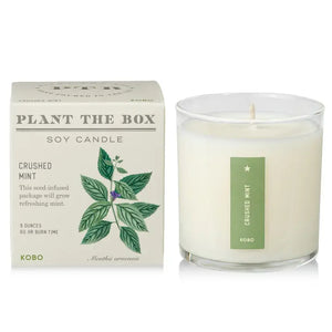 Candle: Crushed Mint, Plant the Box Collection