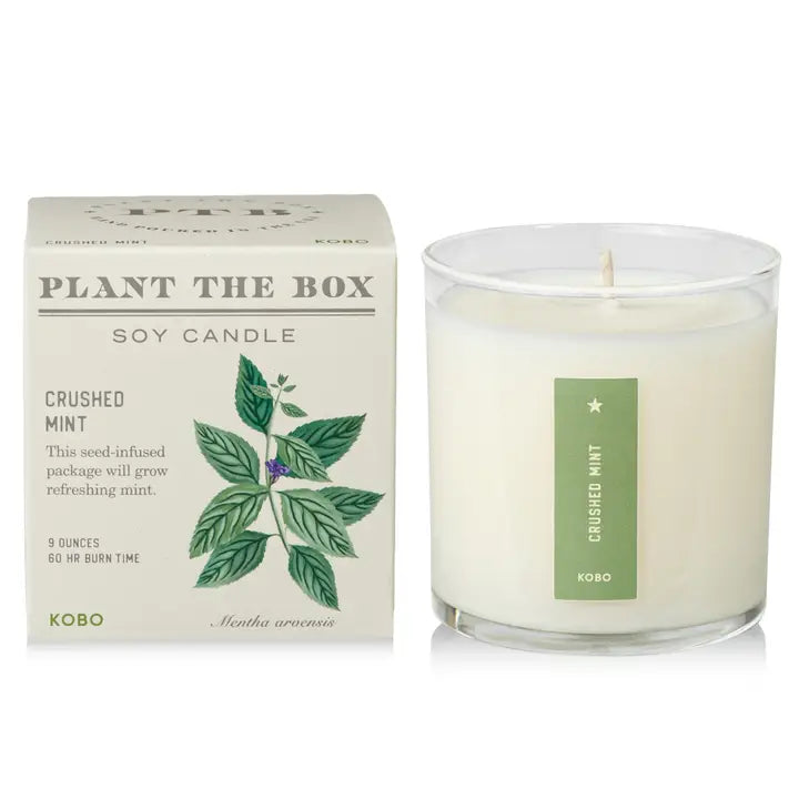 Candle: Crushed Mint, Plant the Box Collection