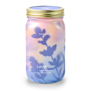 Modern Sprout: Herb Jar, Lavender