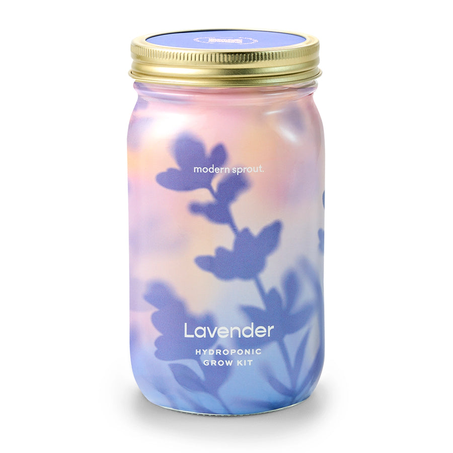 Modern Sprout: Herb Jar, Lavender