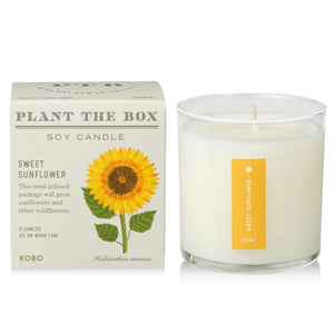 Candle: Sweet Sunflower, Plant the Box Collection